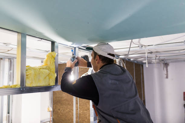 Best Types of Insulation in Osage, IA