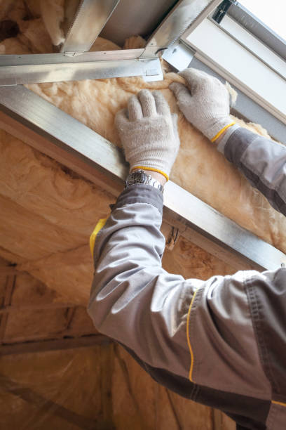 Best Residential Insulation in Osage, IA