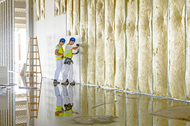 Best Insulation Installation Services in Osage, IA